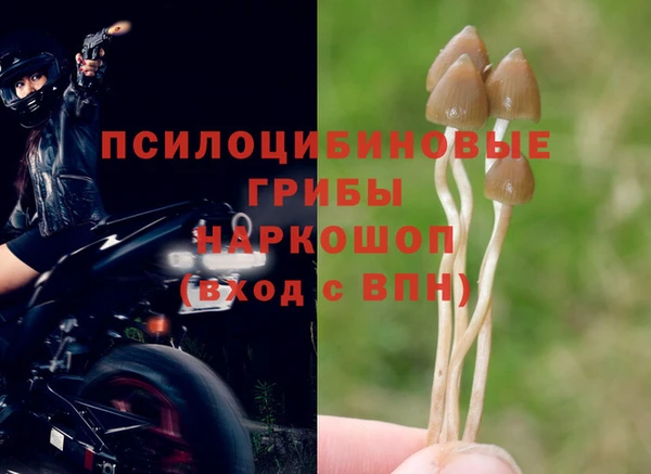 не бодяженный Магас