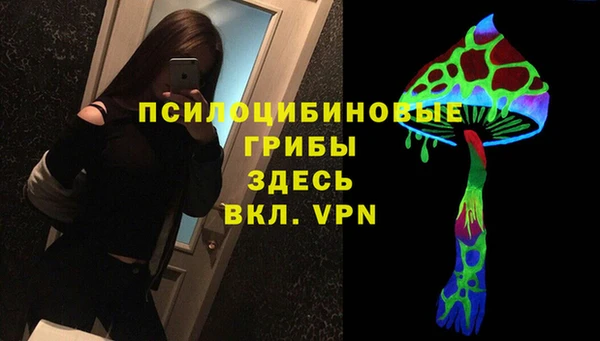 не бодяженный Магас