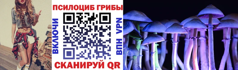 Галлюциногенные грибы прущие грибы  как найти закладки  нарко площадка как зайти  Мещовск 
